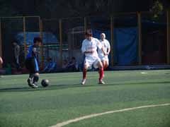 800x600, ������ 101380 ����