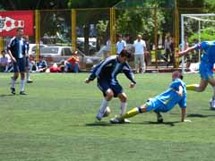 800x600, ������ 216618 ����